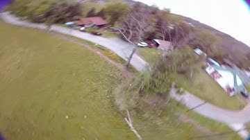 Blackout 250 with naze 32 rev6 freestyle