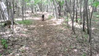 Spring walk 2014