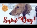 SNOW DAY & Getting Ready For Baby! VLOGMAS Pt. 3