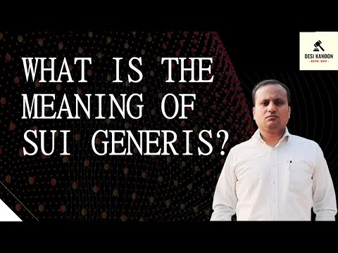 Sui Generis의 의미는 무엇입니까?