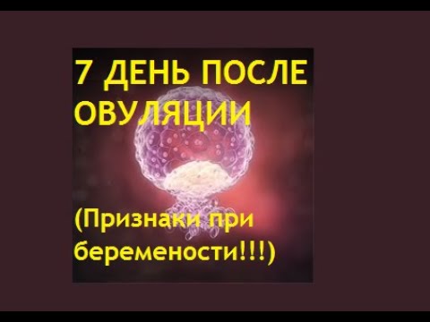 👶7 ДПО. 💥Ощущения на 7 день после овуляции при беременности. Что происходит с зародышем. Имплантация