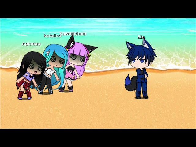 preview_player