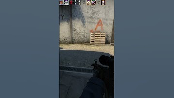 CS:GO #shorts  #csgo #funny #funnyvideo