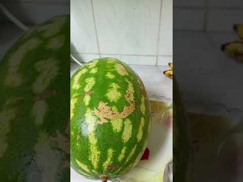 بسم الله ماشاء الله عليكي يا دكتورة ماما حبيبتى وبابا حبيبي والدكتور كمال حبيبنا