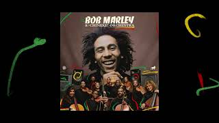 Video thumbnail of "Top Rankin – Bob Marley and The Chineke! Orchestra (Visualizer)"