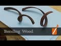 Extreme wood bending with ammonia