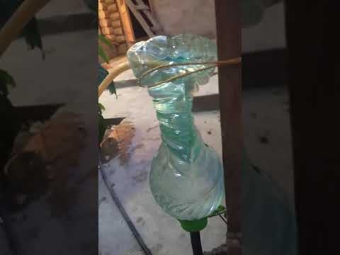 Эксперимент по бесплатной