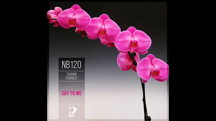 Shawn Forrest - Nite Jam (Original Mix) Best Chill...