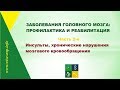 Заболевания головного мозга: инсульты и нарушения мозгового кровообращения