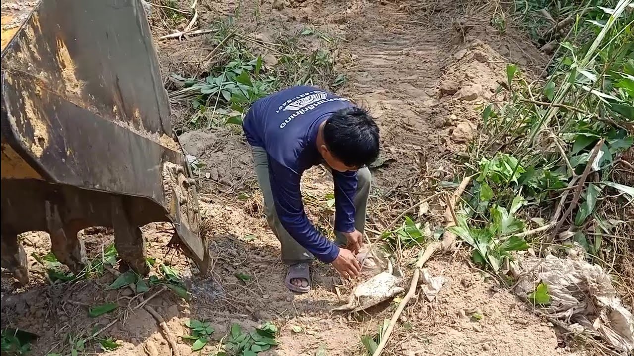 หัวหน้าจร๊ยขุดไปเจอตัวอะไรมาดูกัน???