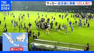 インドネシアでサッカーの試合後に暴動　125人死亡　試合出場の日本人選手2人に被害なし｜TBS NEWS DIG