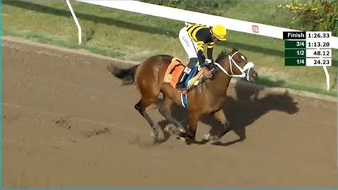 SIR DON IN HIS USUAL CONVINCING MANNER MAKES IT THREE (3) WINS FROM 3 STARTS WITH R.ROMAN 