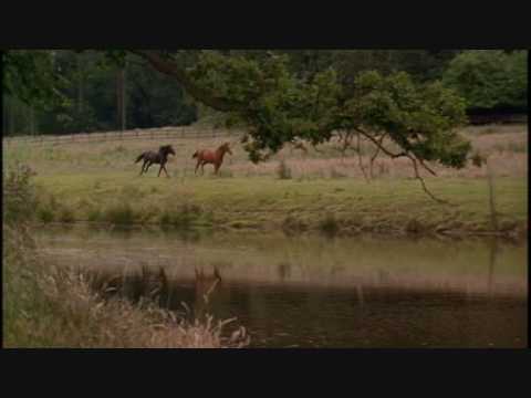 Anna Sewell - Black Beauty 2 - Die Erpressung Anna Sewell - Black Beauty 2 - Die Erpressung