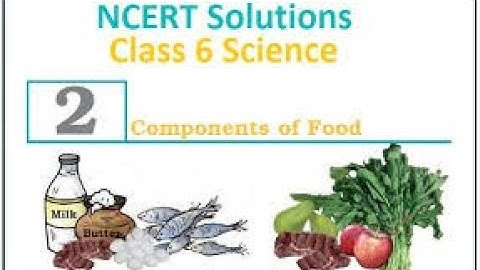 Class VI Science 12 09 2020 by Ms Mridulata Upadhyay (Chapter 2 Components of food)
