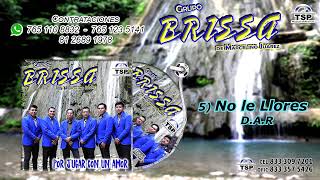 Video thumbnail of "No le Llores - Grupo Brissa de Marcelino Juarez (Audio Oficial 2022)"