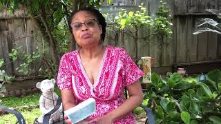 Ray Rays Bay Leaf & Olive Oil Natural Soap