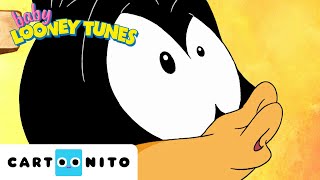 Daffy Duck Home Alone Baby Looney Tunes