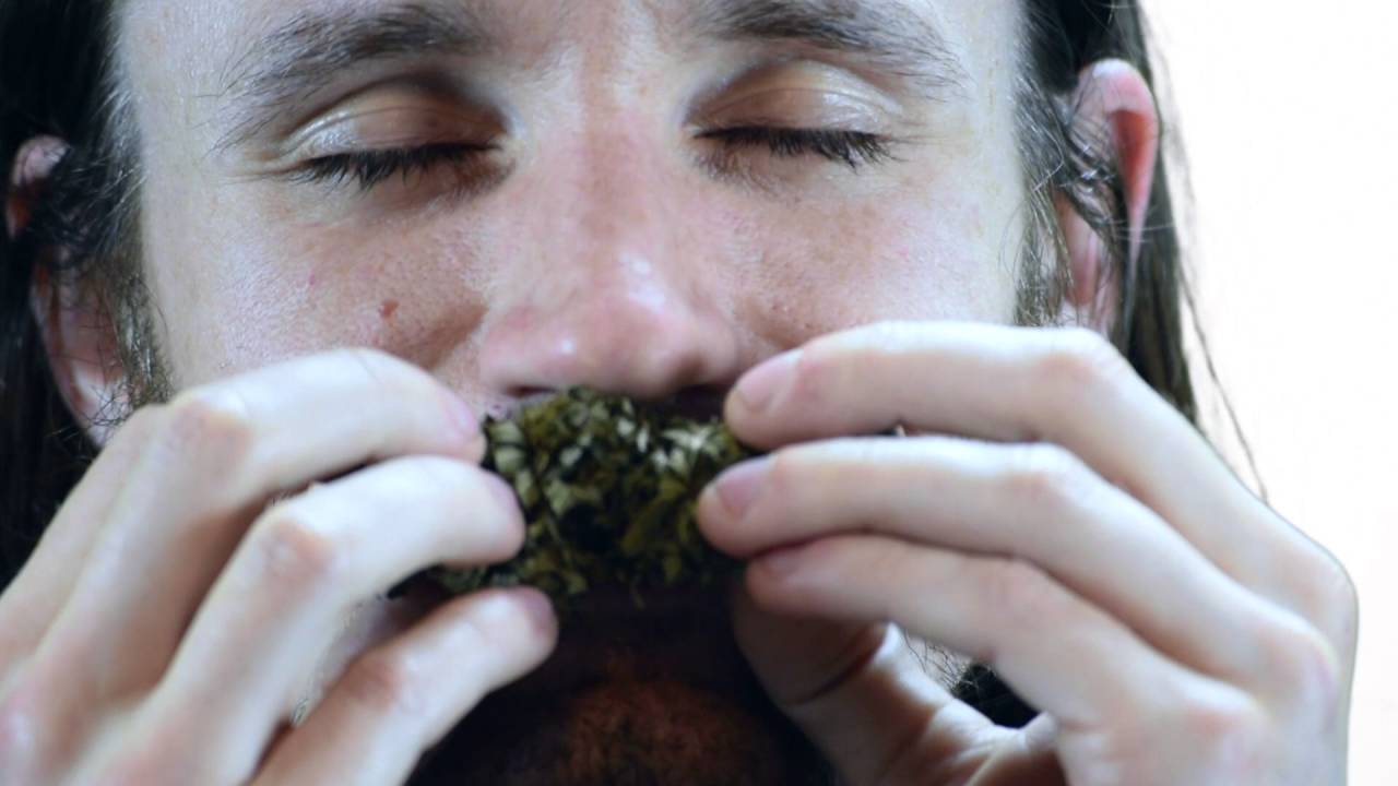 Snaps: Pineapple Express by Bonsai Farms