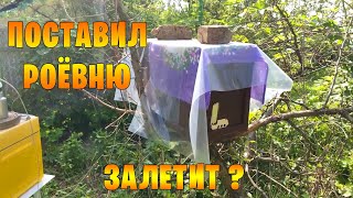 Ящик для пчелиного роя. Пасека с нуля