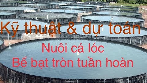 Kỹ thuật và dự toán nuôi cá lóc bể bạt tròn tuần hoàn nước đạt hiệu quả kinh tế cao nhất