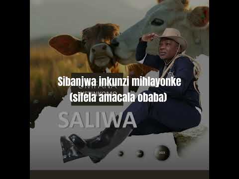 Saliwa - Amacala obaba(Lyric video)