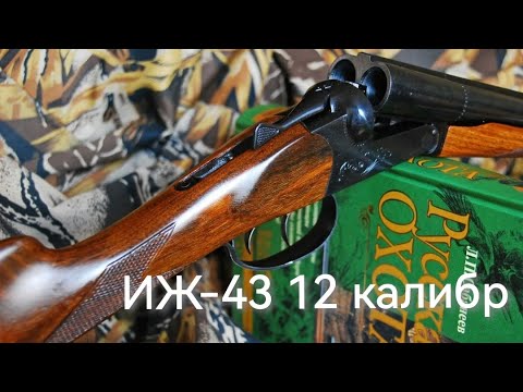 ИЖ-43 Ружье для охоты и не только.
