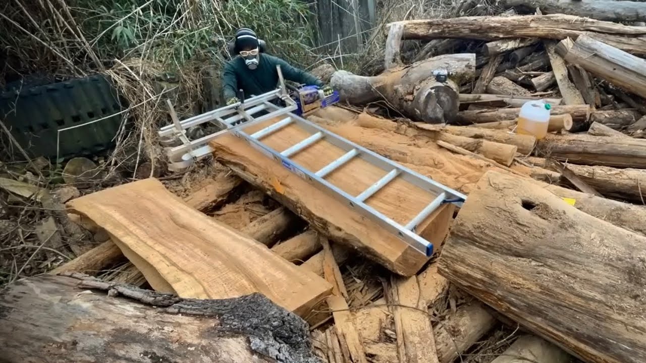 デカすぎて動かせない巨木。やけくそでチェーンソー製材してみた。Holzfforma G660 Chaisaw milling #チェーンソー製材 #チェンソーマン #diy