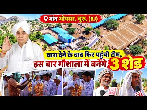 गांव भीमसर, चूरू, (राजस्थान): चारा देने के बाद फिर पहुंची टीम, इस बार गौशाला में बनेंगे 3 शेड