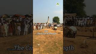 Tobi The circle of strength Sher Pur Akhara 2025