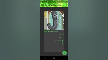 Rick and Morty API with Flutter
