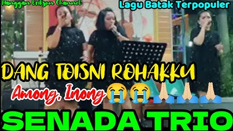 SENADA TRIO -DANG TOISNI ROHAKKU Among,Inong -Cover Cip:Soritua Manurung @hangganeriksonchannel8093