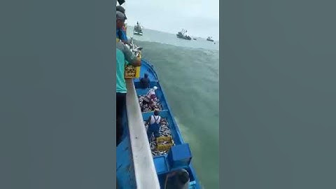 Tonga Tsunami in Ecuador