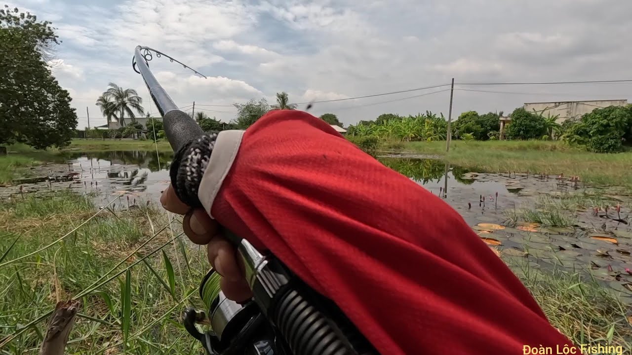 Câu Ngầm - Cái Ao Này Câu Biết Khi Nào Hết Cá