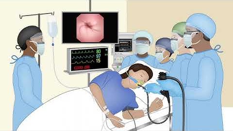Podcast-GI Endoscopy Technology Primer: 1. Check-in to Procedure - 1. Endoscopy Team