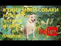 ЖЕНИХ моей СОБАКИ/РАСТЕНИЕ, которое стреляет и плюётся/ПРИКОЛЫ/VLOG