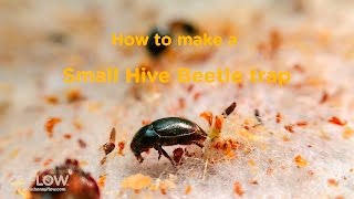 5 Black Small Bee Hive Beetle Blaster BeeHive Trap Beekeeping Equipment Tool_NEL 