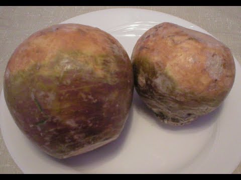 Video: Rutabaga Tahan Sejuk