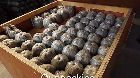 bolt ball space frame roofing system of conference hall -LF BJMB