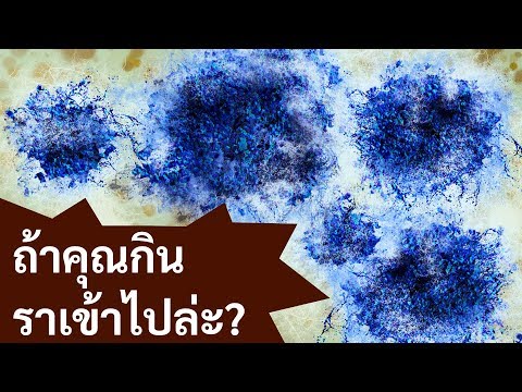 วีดีโอ: สปอร์ของเชื้อราสามารถเติบโตบนพลาสติกได้หรือไม่?