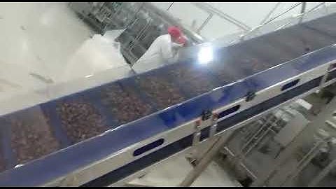 customized horizontal belt conveyor working with Z conveyor for packing 500g dates in 120bpm!