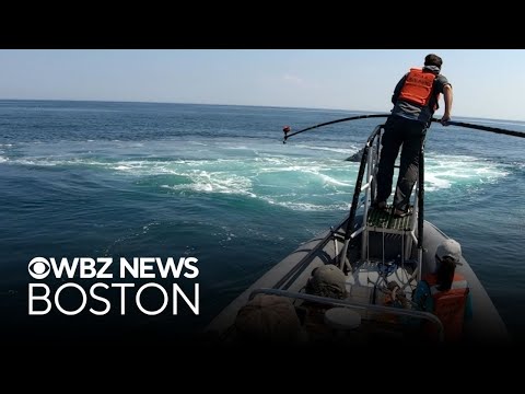 Where you can search for whales and sunken ships off the Massachusetts coast