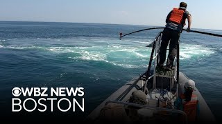 Where you can search for whales and sunken ships off the Massachusetts coast