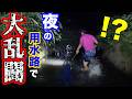 夜の用水路でウナギが次々と…