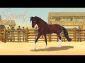Customizing a Breyer Chestnut Model Horse | "Spirit Stallion of the Cimarron" Art Style (Commission)