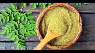 Backsound musik kesehatan Medis | No copyright | #2