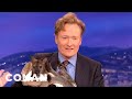 Animal Expert David Mizejewski: Wallaby & Caracal - CONAN on TBS