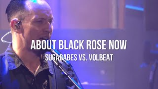 About Black Rose Now [Sugababes Vs. Volbeat] (Marc Johnce Mashup)