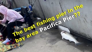 Best Fishing Pier in the Bay Area, Pacifica Pier