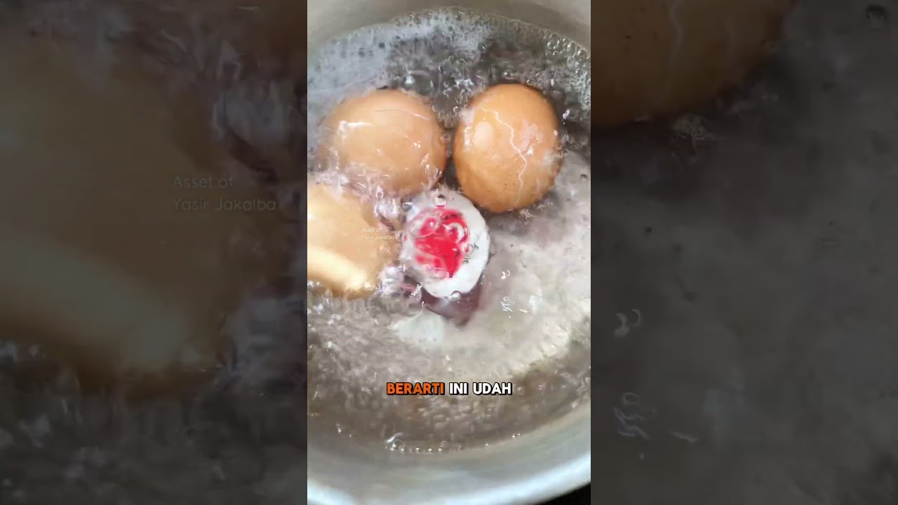 Eggtimer telur rebus 