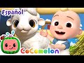 Canción del Viejo MacDonald con Animales Bebés! | Caricaturas para bebes | CoComelon Español